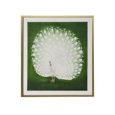 Интерьерный постер “White Peacock”