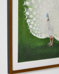 Интерьерный постер “White Peacock”