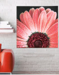 Панно Red Daisy арт. P4750
